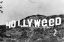 голливуд, гора, hollyweed, ч/б