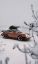 автомобиль, классика, ретро, Porsche, снег, ель, елка