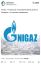 Газпром, Нигерия, nigaz