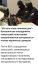 зумеры,сленг,сотрудники,выгорание