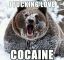 медведь, кокаин