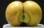 яблоко