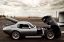 shelby daytona coupe, авто, автодром