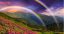 пейзаж, горы, цветы, радуга